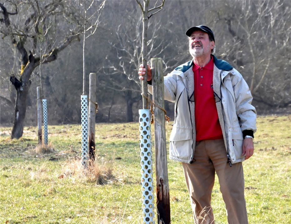 bernd moog apfelbaeume